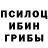 Псилоцибиновые грибы Magic Shrooms Nurzhan U