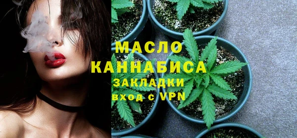 шишки Гусь-Хрустальный