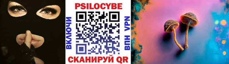 блэк спрут как зайти  Краснообск  Галлюциногенные грибы Magic Shrooms 